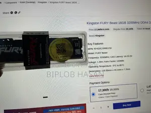 Kingston Fury Beast 16GB RAM