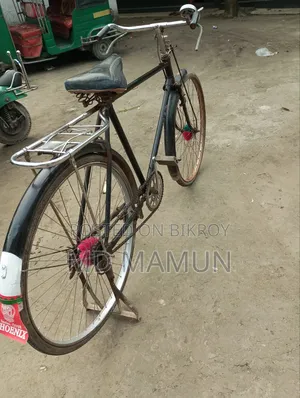 ফিনিক্স সাইকেল