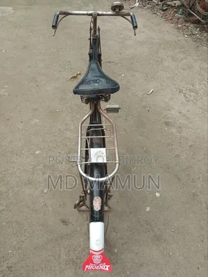 ফিনিক্স সাইকেল