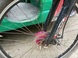 Duranta Cycle