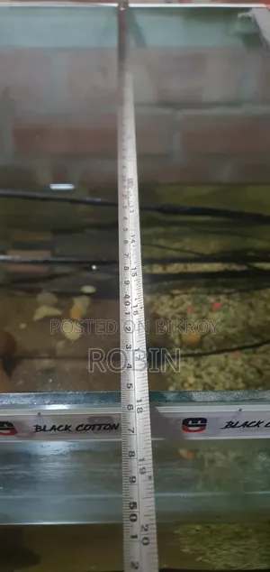Aquarium Fish Tank