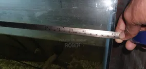Aquarium Fish Tank