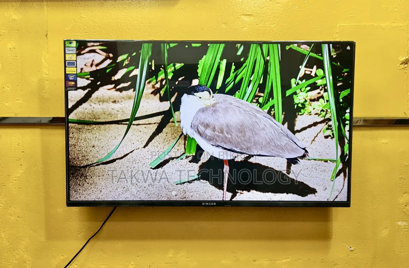 Singer 43 Inch Smart Android Frameless Voice Control Korean TV