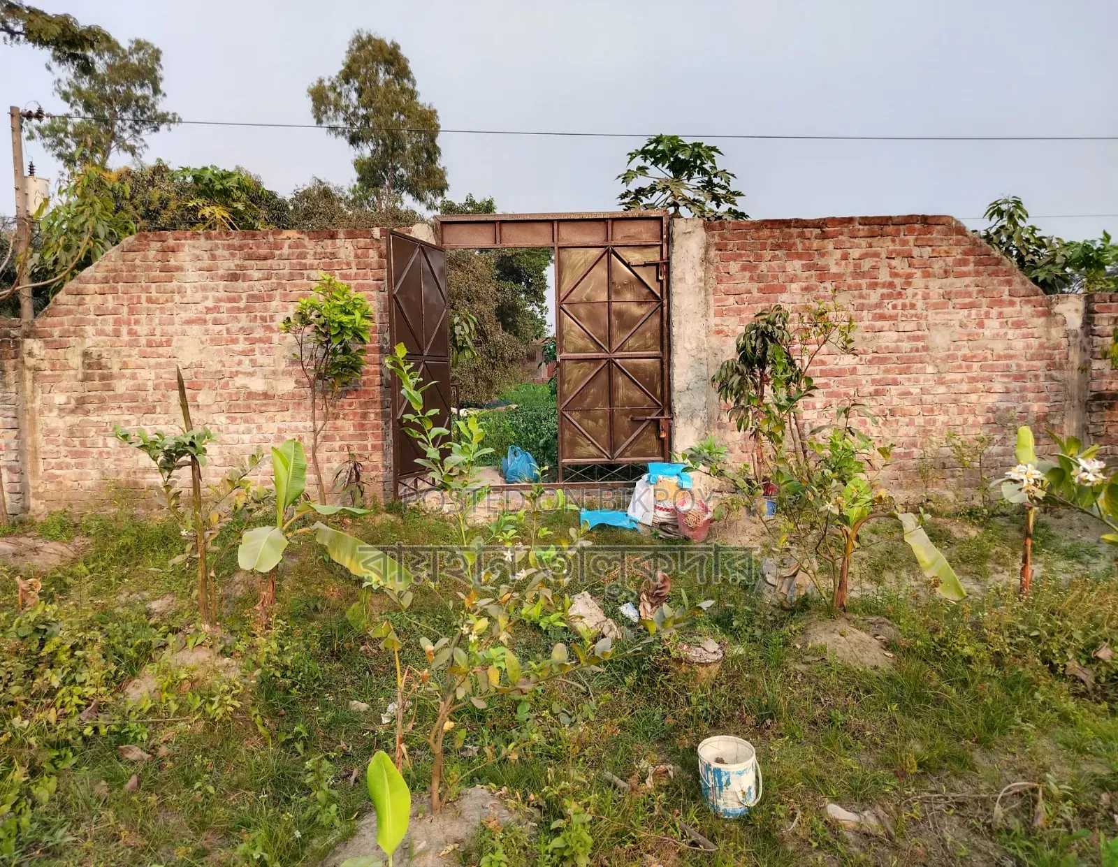 5 Katha Land for Sale in Kanchpur