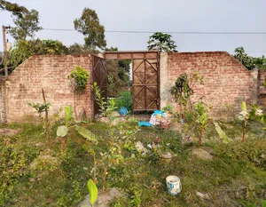 5 Katha Land for Sale in Kanchpur