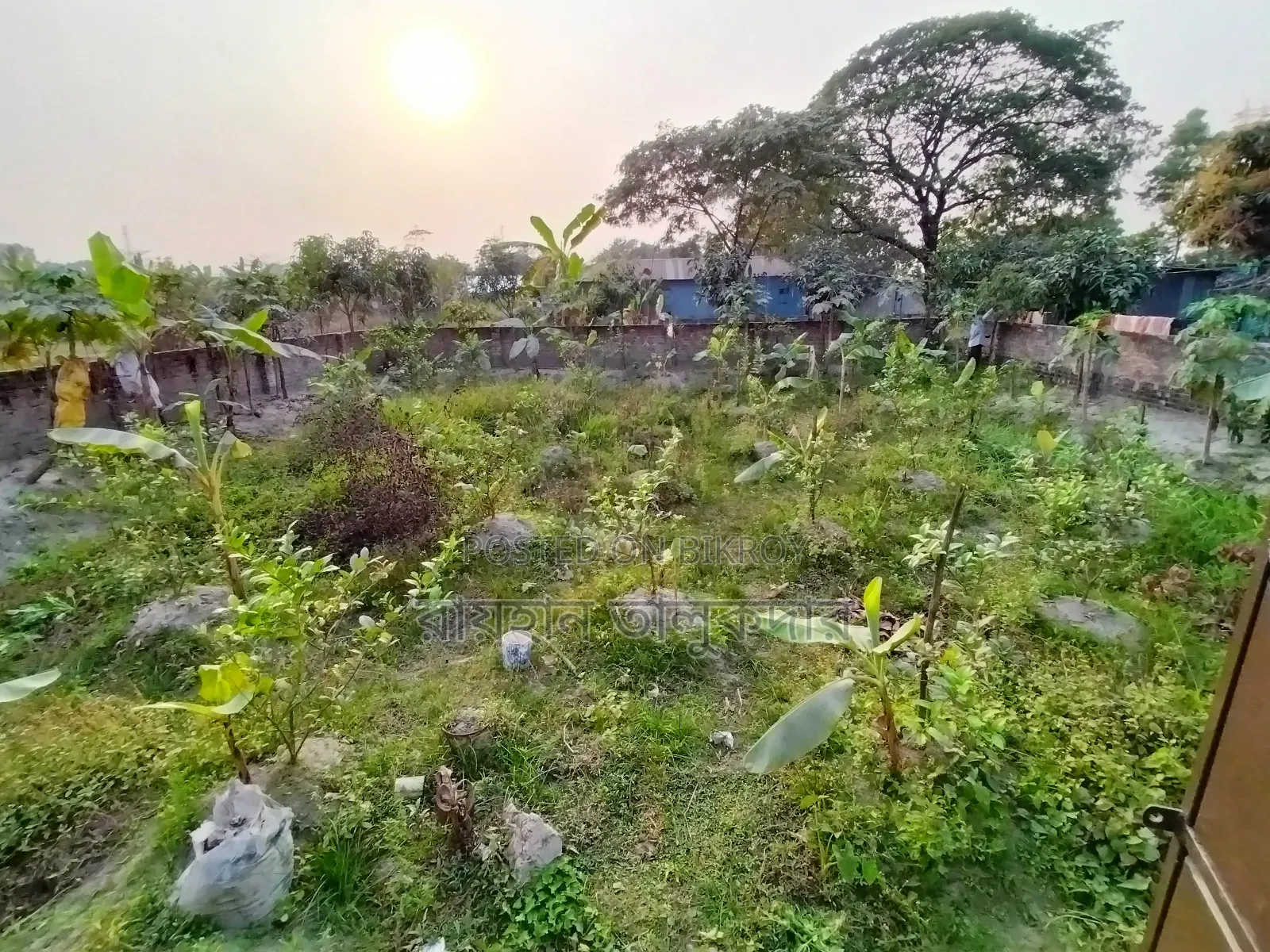 5 Katha Land for Sale in Kanchpur