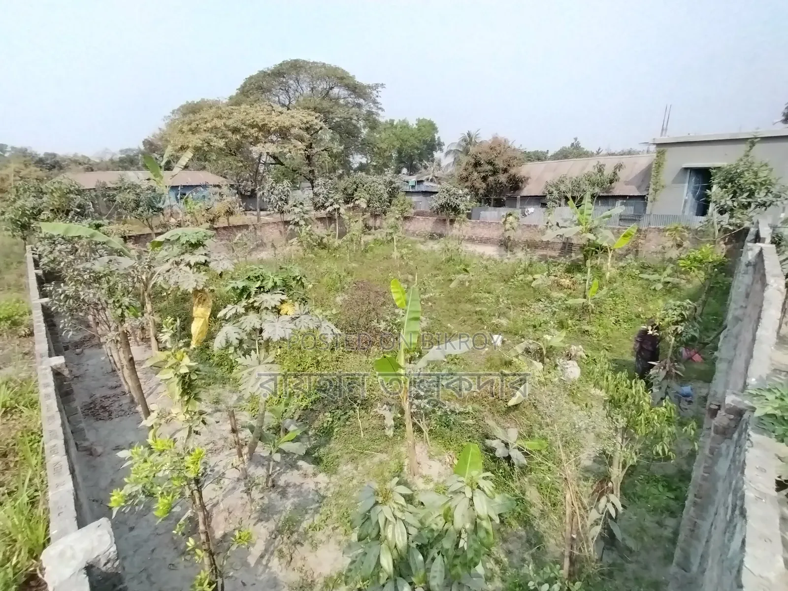 5 Katha Land for Sale in Kanchpur