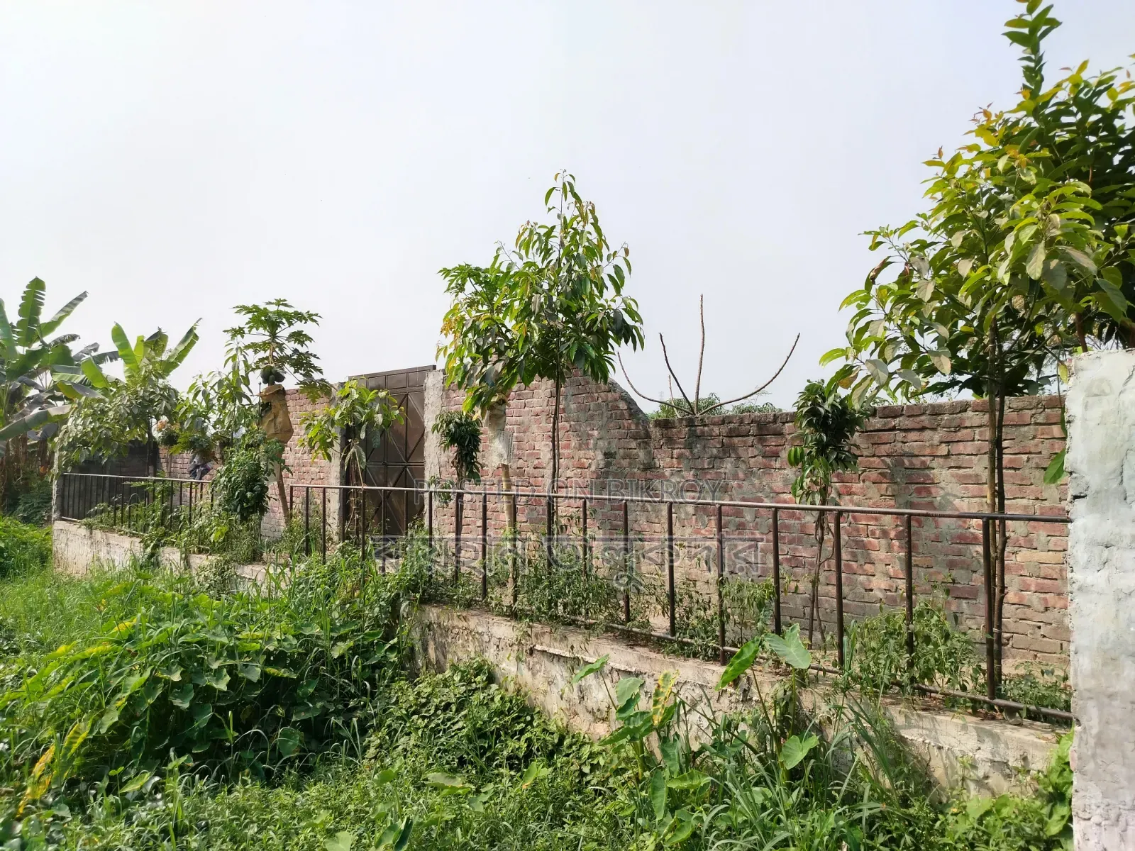 5 Katha Land for Sale in Kanchpur