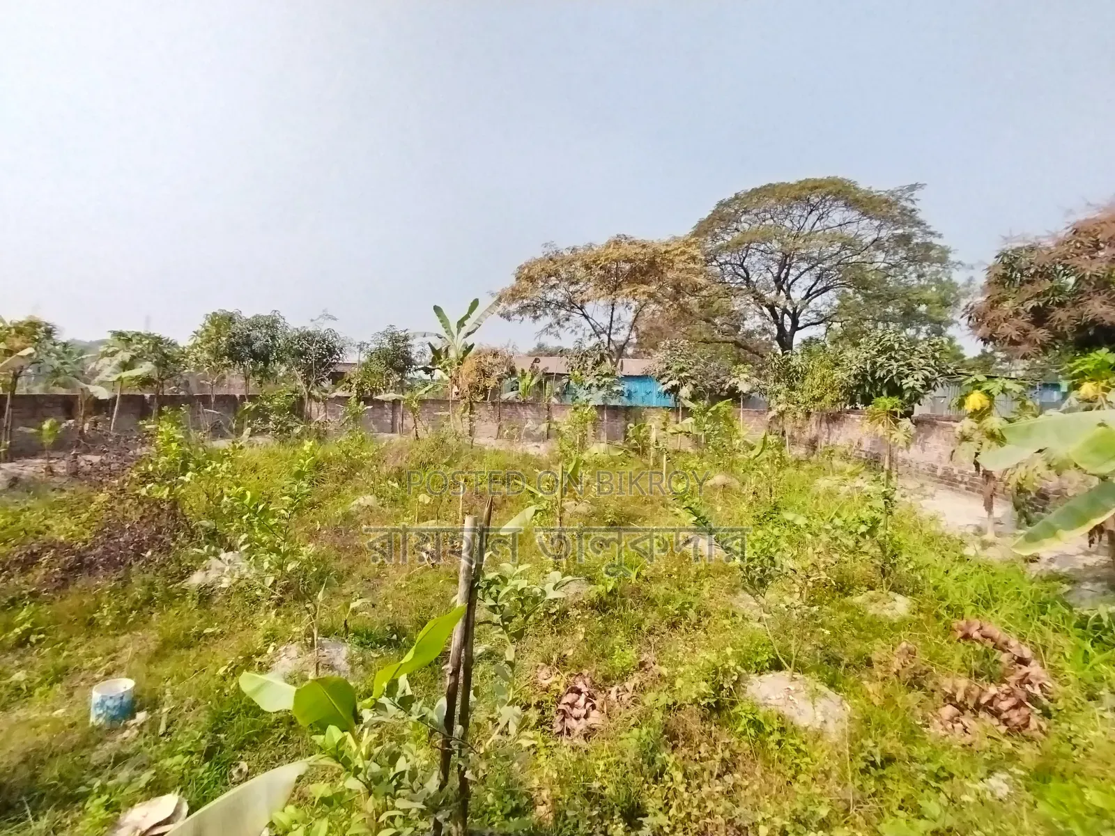 5 Katha Land for Sale in Kanchpur