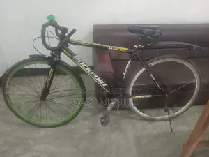Racing Cycle