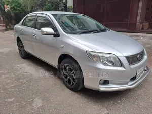 টয়োটা এক্সিও ২০১০ সিলভার