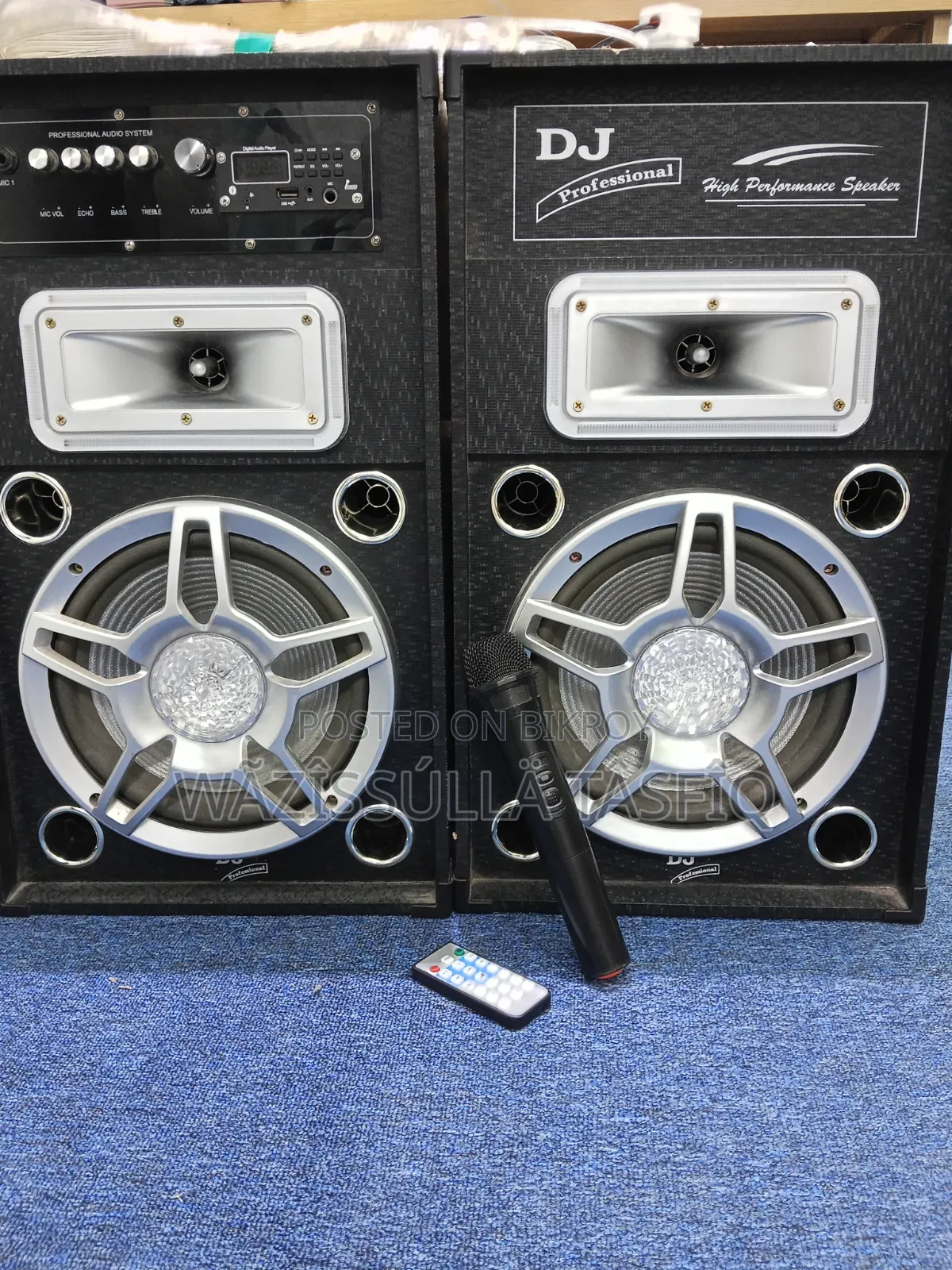 Dj Professional Speaker