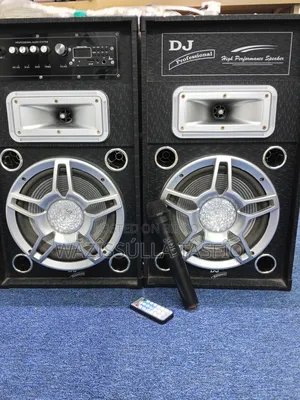 Dj Professional Speaker