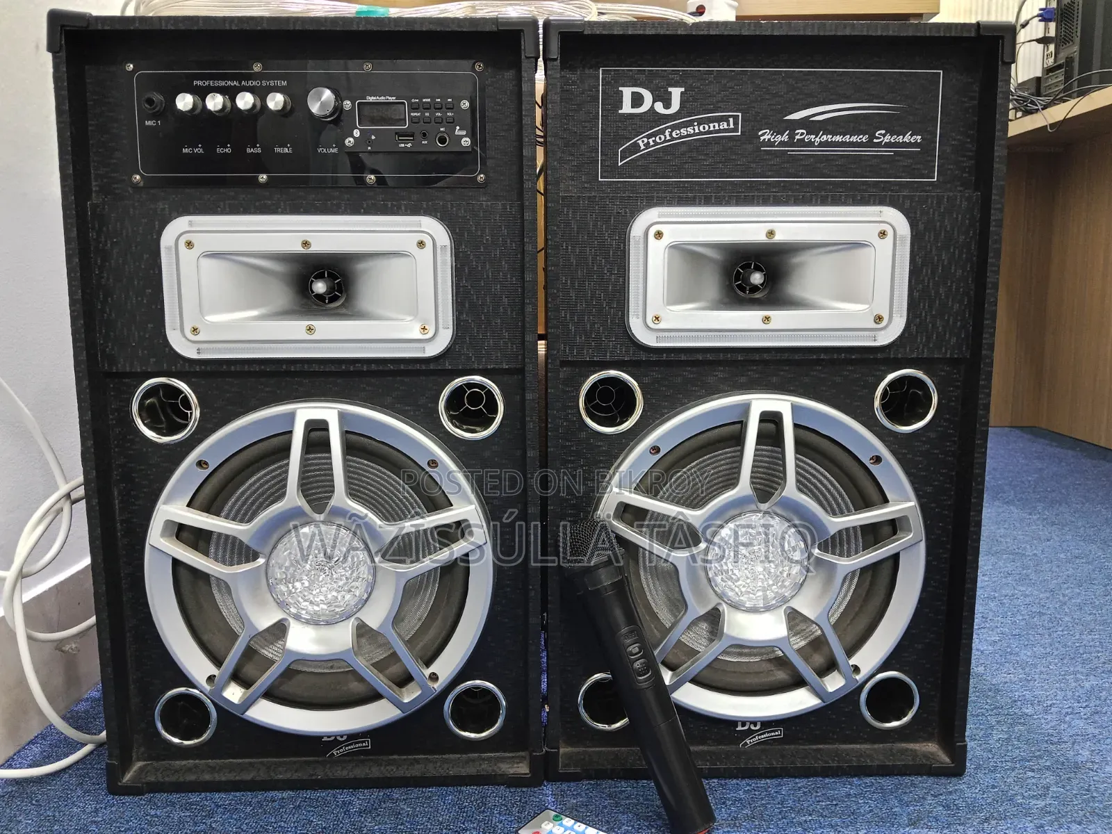 Dj Professional Speaker