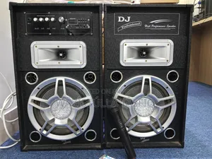 Dj Professional Speaker