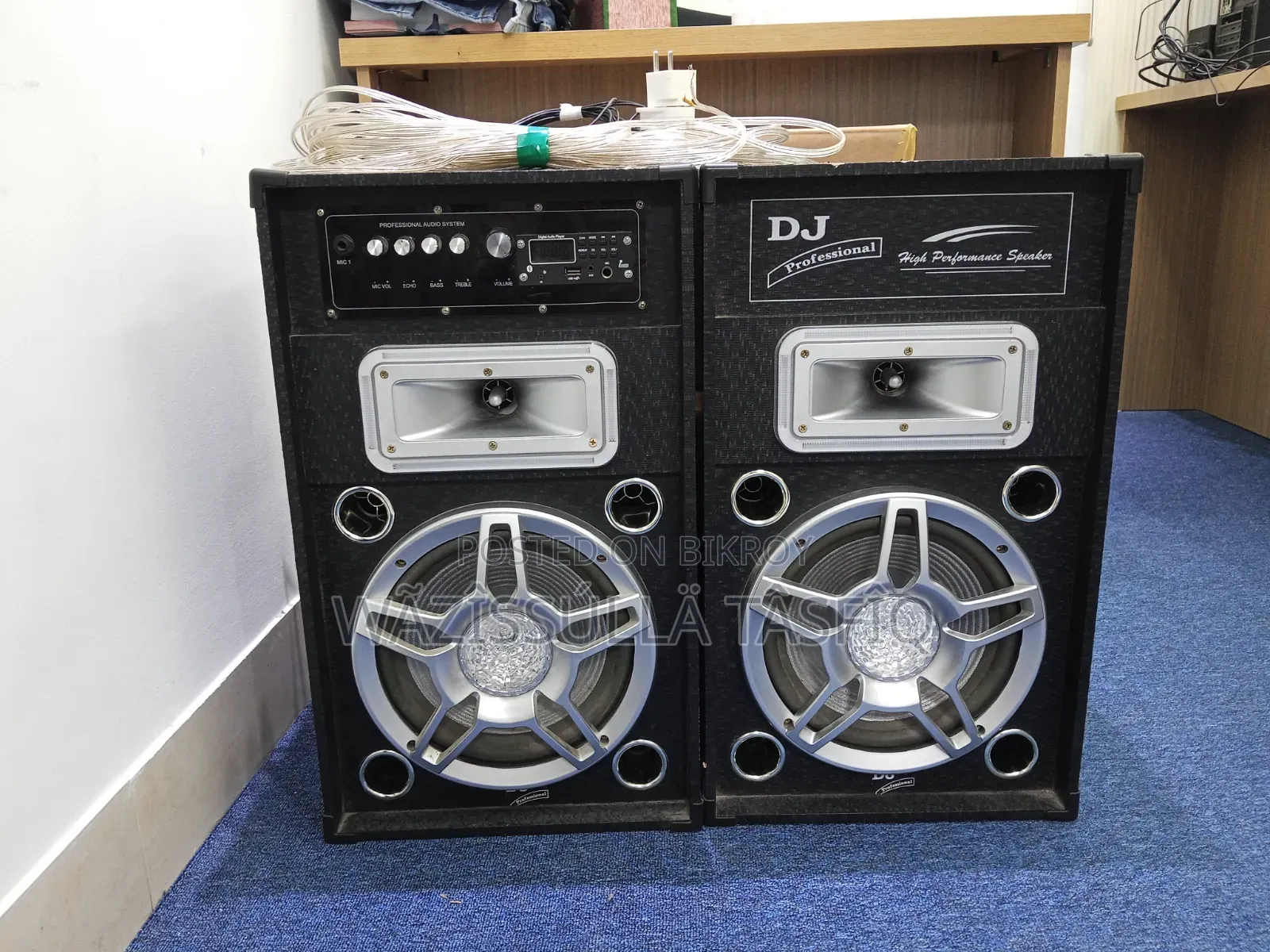 Dj Professional Speaker