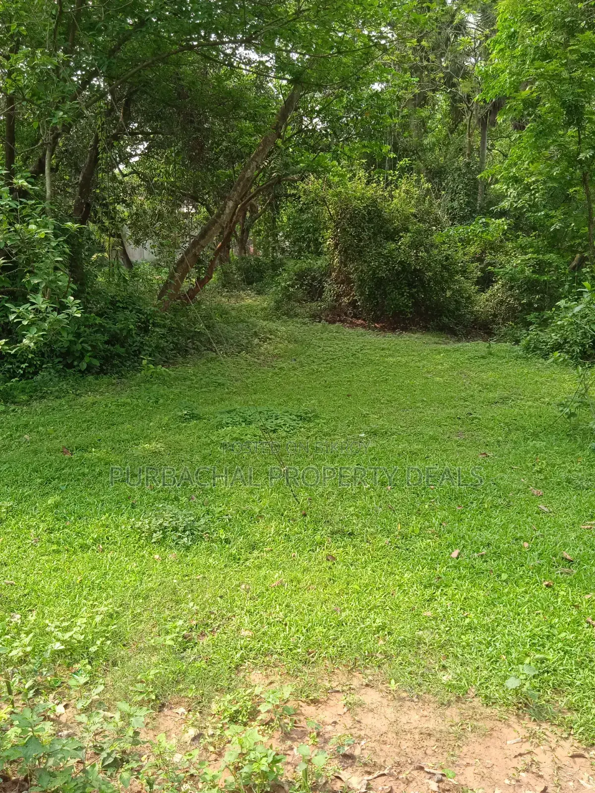 7 Decimal Land in Kaliganj—Ideal for Home or Investment