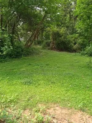 মনোরম পরিবেশে কালিগঞ্জে ৭ শতাংশ জমি—বাসা বা বিনিয়োগের জন্য আদর্শ