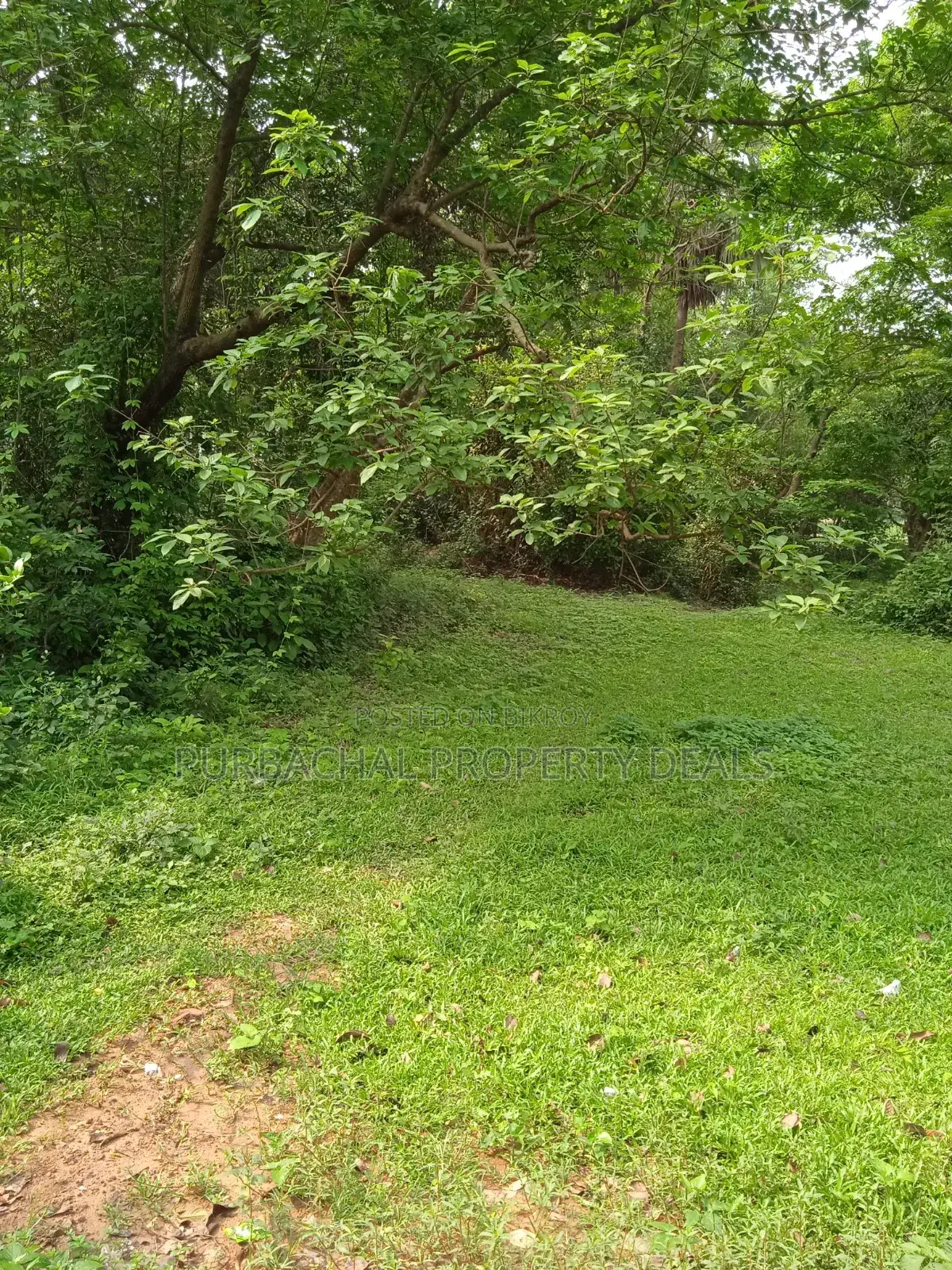 7 Decimal Land in Kaliganj—Ideal for Home or Investment