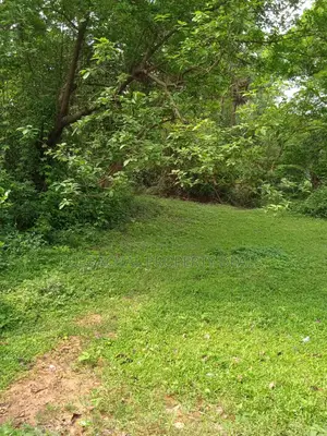 7 Decimal Land in Kaliganj—Ideal for Home or Investment