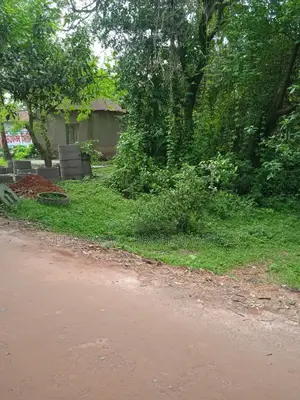 7 Decimal Land in Kaliganj—Ideal for Home or Investment