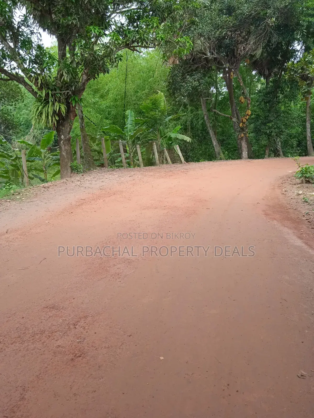 7 Decimal Land in Kaliganj—Ideal for Home or Investment