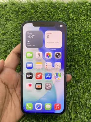 Apple iPhone 12 256 GB Blue