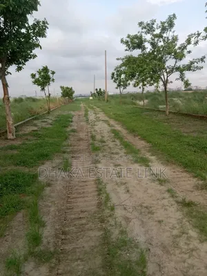 19 Decimal Land for Sale at Awal Market, Amin Bazar