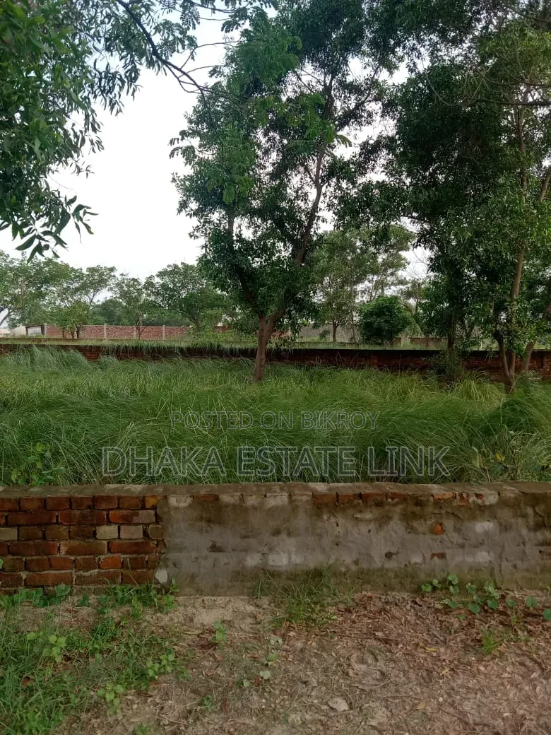 19 Decimal Land for Sale at Awal Market, Amin Bazar