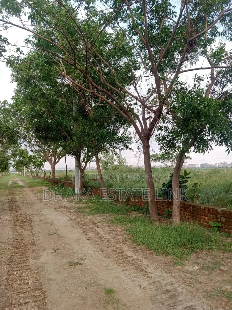19 Decimal Land for Sale at Awal Market, Amin Bazar