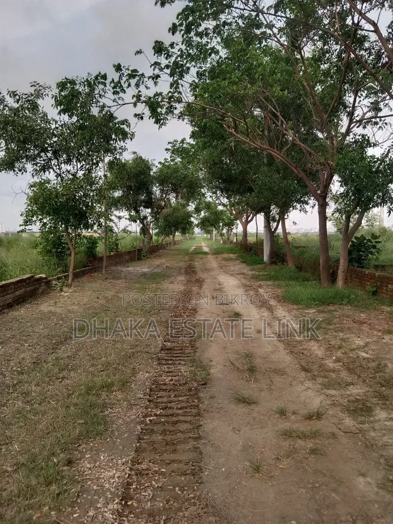 19 Decimal Land for Sale at Awal Market, Amin Bazar