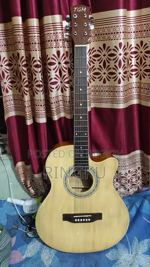 টিজিএম সেমি অ্যাকোস্টিক প্রফেশনাল ইকুয়ালাইজার গিটার