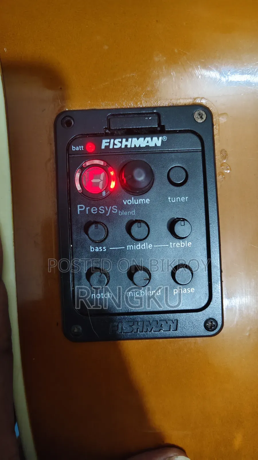 TGM Semi Acoustic Professional Equalizer Guitar