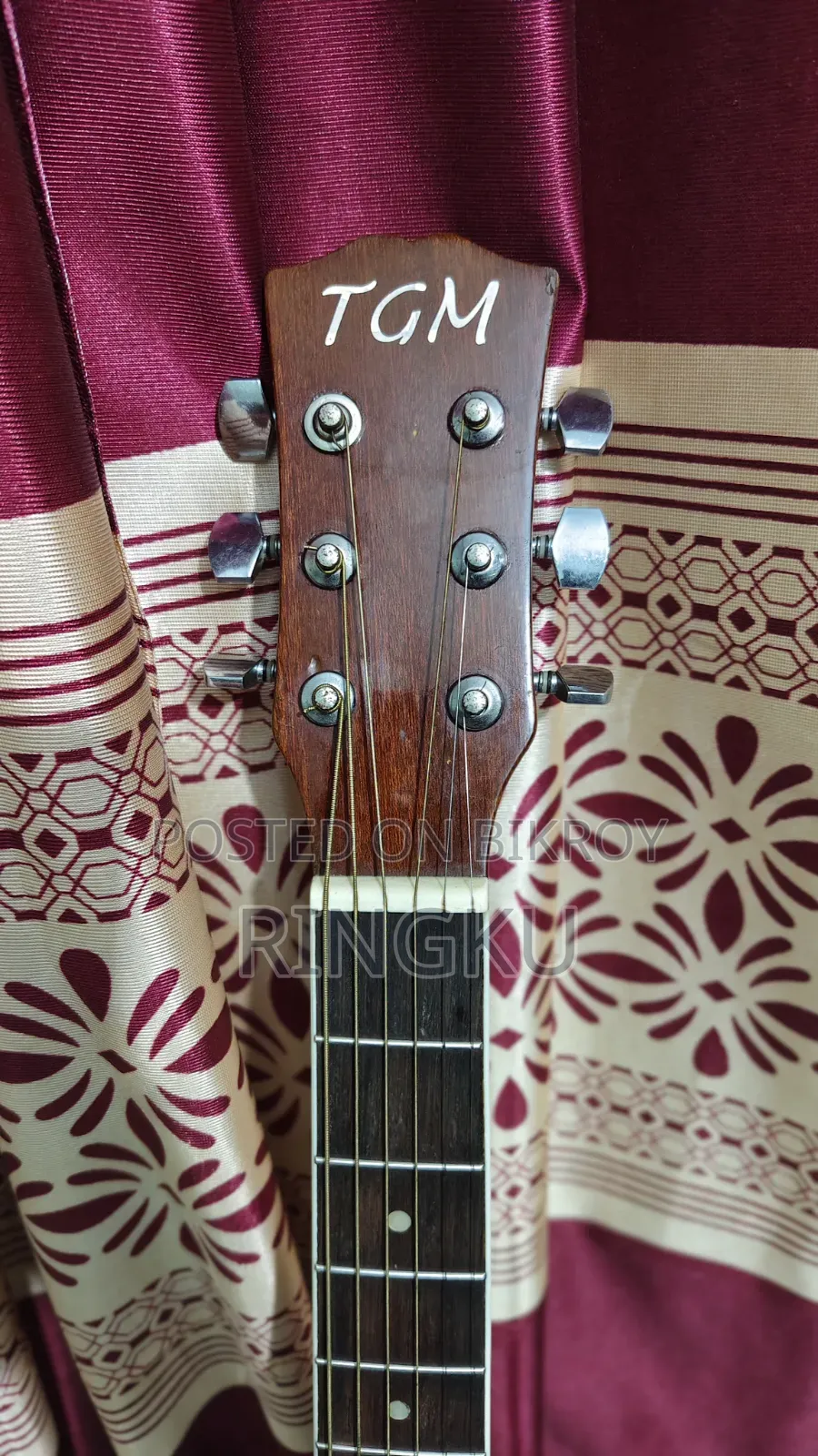 TGM Semi Acoustic Professional Equalizer Guitar