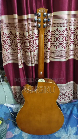 TGM Semi Acoustic Professional Equalizer Guitar