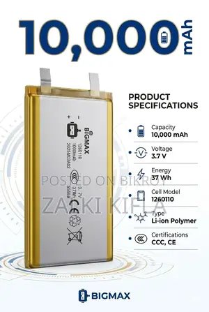 Original Bigmax (10,000mah) লিথিয়াম পলিমার ব্যাটারি!