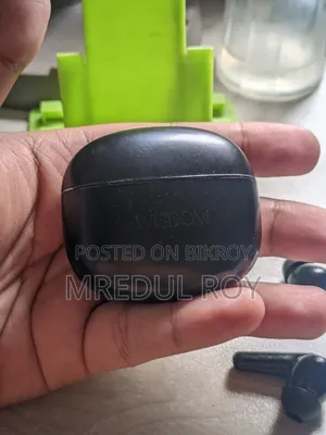 উইজডম ইয়ারবাড
