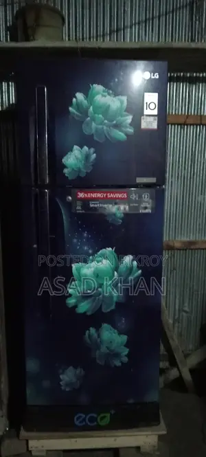 LG Smart Inverter Refrigerator (GL-252RPBB) - নতুনের মতো কন্ডিশন