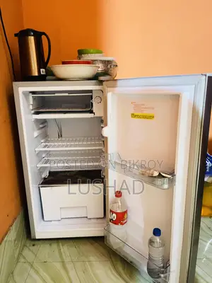 Vision Refrigerator 101 Litter
