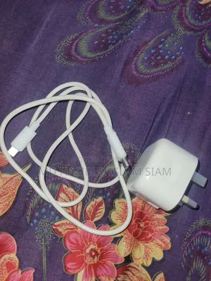 Anker 20w Charger Type C Cable