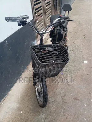 Electric Bicycle