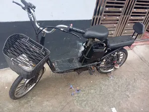 Electric Bicycle