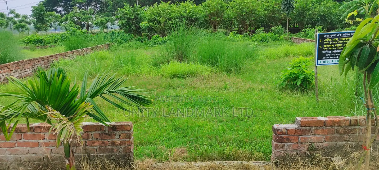 5 Katha Ready Plot for Sale Near Hemayetpur, Close to Metro Rail
