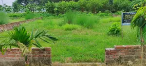 5 Katha Ready Plot for Sale Near Hemayetpur, Close to Metro Rail