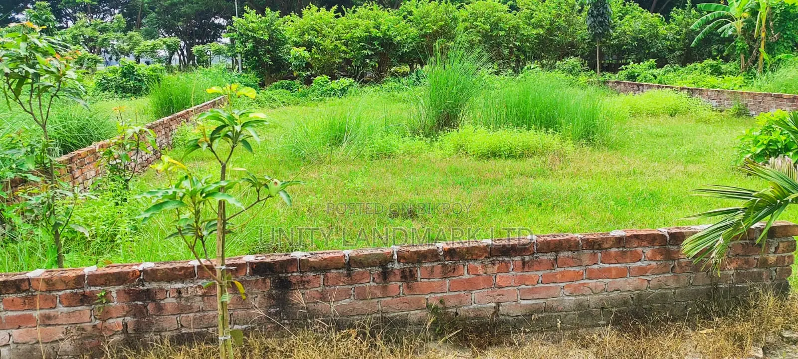 5 Katha Ready Plot for Sale Near Hemayetpur, Close to Metro Rail