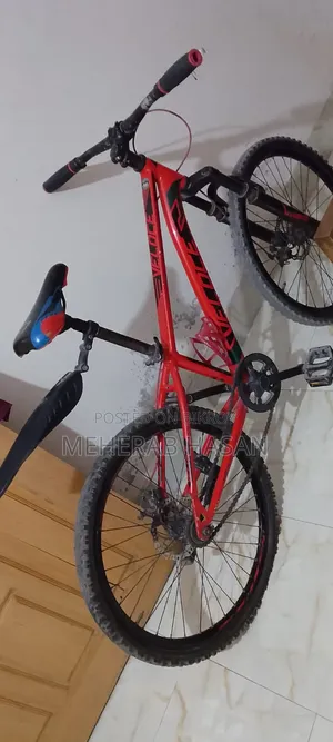Veloce Junior 24"