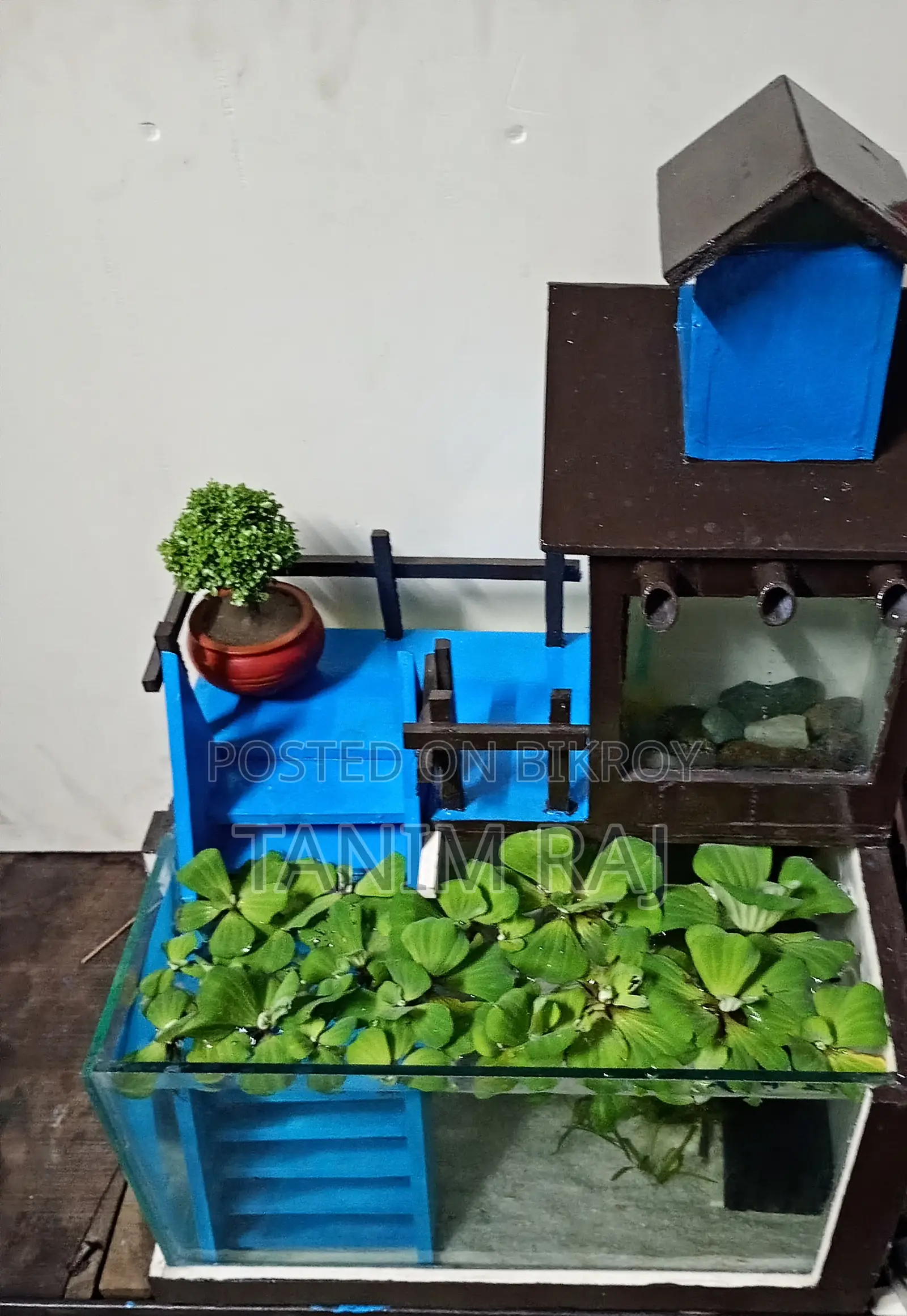 একুরিয়াম টি বিক্রয় করা হবে
