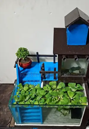 একুরিয়াম টি বিক্রয় করা হবে