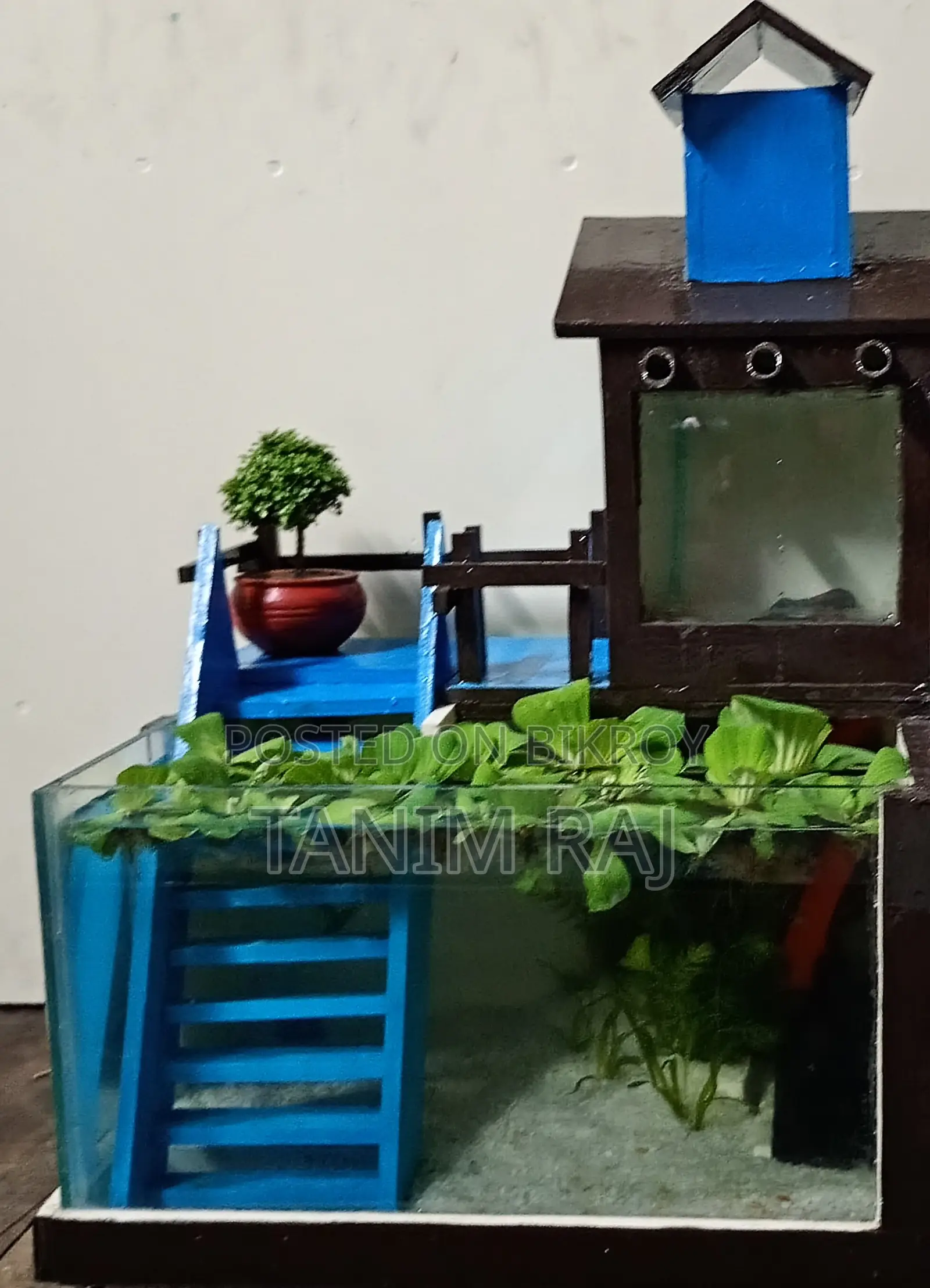 একুরিয়াম টি বিক্রয় করা হবে
