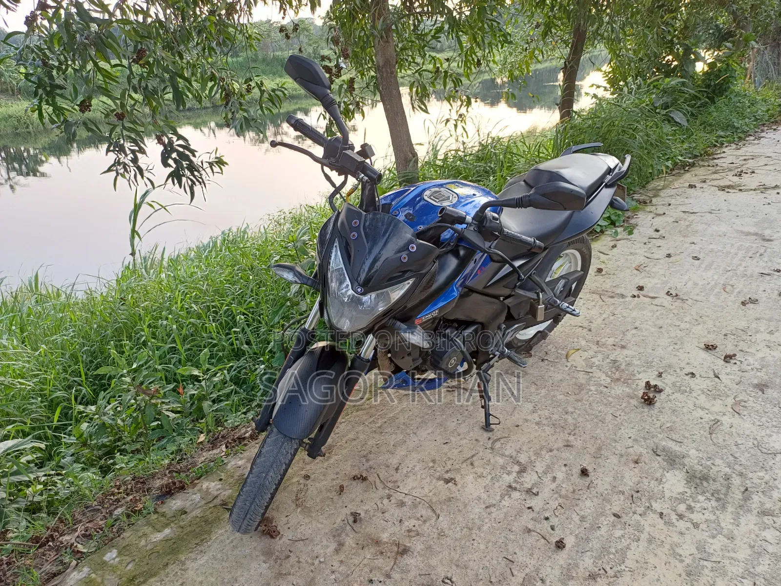 Bajaj Pulsar NS 160 2019 Blue